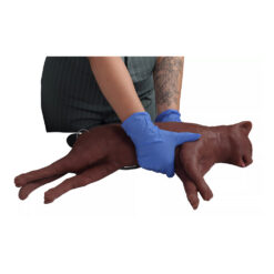 Alternative view of Capper Kassi elustamismannekeen